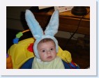 DSC01293 * 2048 x 1536 * (1.35MB)