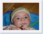 DSC01339 * 2048 x 1536 * (1.46MB)
