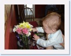 DSC01481 * 2048 x 1536 * (1.44MB)
