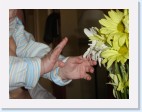 DSC01485 * 2048 x 1536 * (1.29MB)