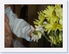 DSC01487 * 2048 x 1536 * (1.31MB)