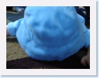 DSC01729 * 2048 x 1536 * (1.31MB)
