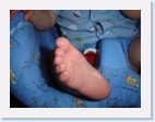 DSC01842 * 2048 x 1536 * (1.43MB)