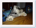 DSC01915 * 2048 x 1536 * (1.45MB)