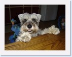 DSC01916 * 2048 x 1536 * (1.56MB)