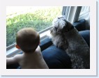 DSC01931 * 2048 x 1536 * (1.49MB)