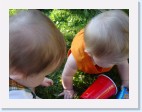 DSC02116 * 2048 x 1536 * (1.31MB)