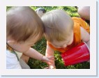 DSC02117 * 2048 x 1536 * (1.42MB)