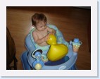 DSC02172 * 2048 x 1536 * (1.33MB)