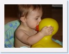 DSC02175 * 2048 x 1536 * (1.28MB)