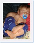 DSC02426 * 1536 x 2048 * (1.33MB)