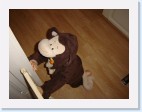 DSC02427 * 2048 x 1536 * (1.53MB)
