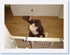 DSC02430 * 2048 x 1536 * (1.29MB)
