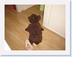 DSC02431 * 2048 x 1536 * (1.53MB)