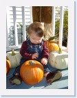 DSC02441 * 1536 x 2048 * (1.52MB)