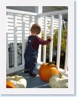 DSC02445 * 1536 x 2048 * (1.44MB)