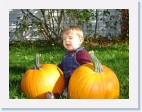 DSC02451 * 2048 x 1536 * (1.49MB)
