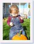 DSC02452 * 1536 x 2048 * (1.47MB)
