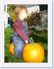 DSC02453 * 1536 x 2048 * (1.41MB)