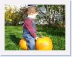 DSC02454 * 2048 x 1536 * (1.44MB)
