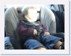 DSC02456 * 2048 x 1536 * (1.32MB)