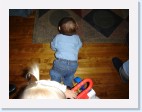DSC02561 * 2048 x 1536 * (1.51MB)