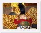 DSC02587 * 2048 x 1536 * (1.29MB)