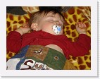 DSC02589 * 2048 x 1536 * (1.4MB)