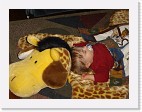 DSC02590 * 2048 x 1536 * (1.3MB)