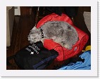 DSC02602 * 2048 x 1536 * (1.35MB)