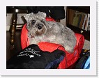 DSC02603 * 2048 x 1536 * (1.36MB)
