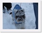 DSC02618 * 2048 x 1536 * (1.21MB)