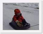 DSC02668 * 2048 x 1536 * (1.31MB)