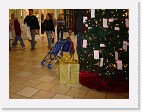 DSC02768 * 2048 x 1536 * (1.3MB)
