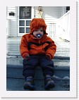 DSC02846 * 1536 x 2048 * (1.51MB)
