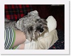 DSC02849 * 2048 x 1536 * (1.54MB)