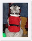 DSC02886 * 1536 x 2048 * (1.51MB)