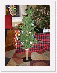 DSC02892 * 1536 x 2048 * (1.5MB)