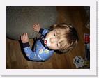 DSC03095 * 2048 x 1536 * (1.36MB)