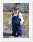 DSC03351 * 1536 x 2048 * (1.54MB)