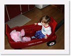DSC03462 * 2048 x 1536 * (1.45MB)