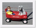 DSC03624 * 2048 x 1536 * (1.38MB)
