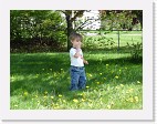 DSC04077 * 2048 x 1536 * (1.48MB)