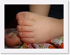 DSC04116 * 2048 x 1536 * (1.2MB)