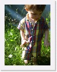 DSC04209 * 1536 x 2048 * (1.37MB)