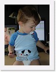 DSC04281 * 1536 x 2048 * (1.37MB)
