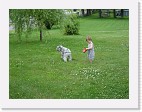 DSC04392 * 2048 x 1536 * (1.44MB)