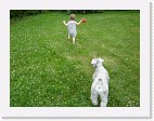 DSC04393 * 2048 x 1536 * (1.51MB)