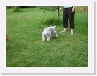 DSC04397 * 2048 x 1536 * (1.48MB)