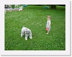 DSC04404 * 2048 x 1536 * (1.44MB)